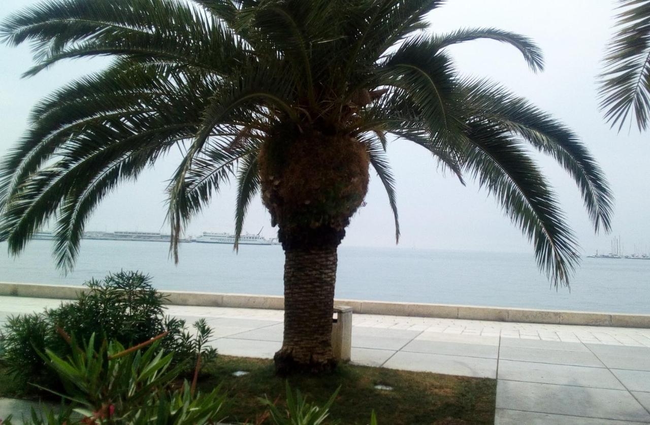 Elly Apartments ספליט מראה חיצוני תמונה